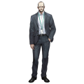 Artwork of Zelinsky.